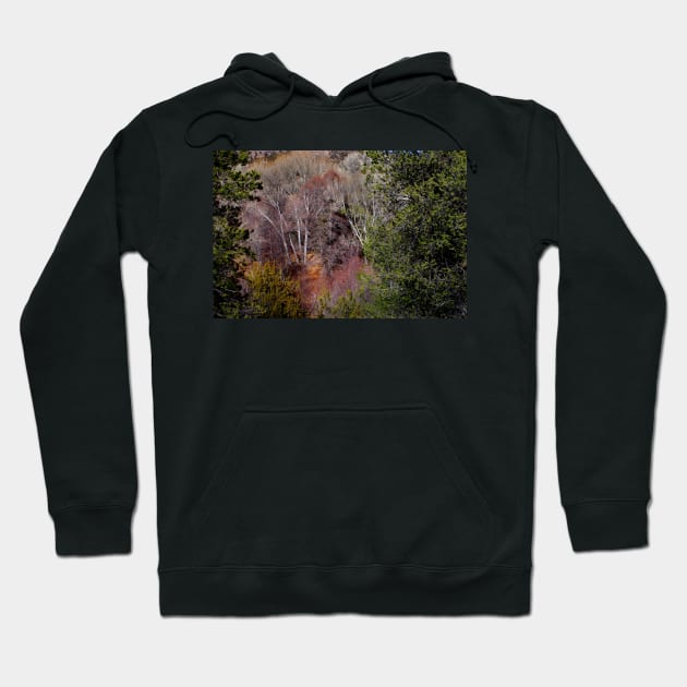 Simply Art of Nature Hoodie by VKPelham